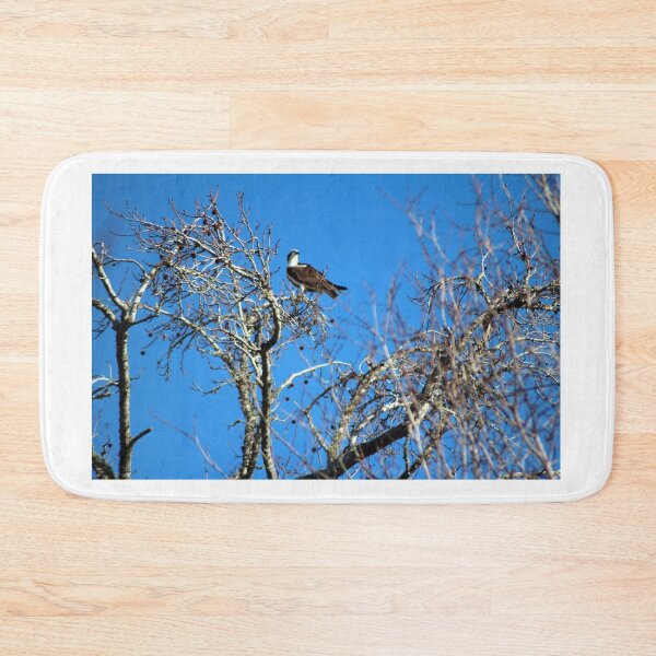 Item preview, Osprey Keeps Watch designed and sold by Cynthia48.