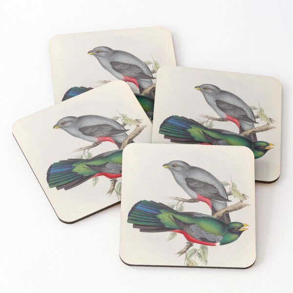 Item preview, A monograph of the Trogonidae or family of trogons John Gould 1838 V1 to V3 0090 Trogon Nigricauddata Black Tailed Trogon designed and sold by WetdryvacRB01.