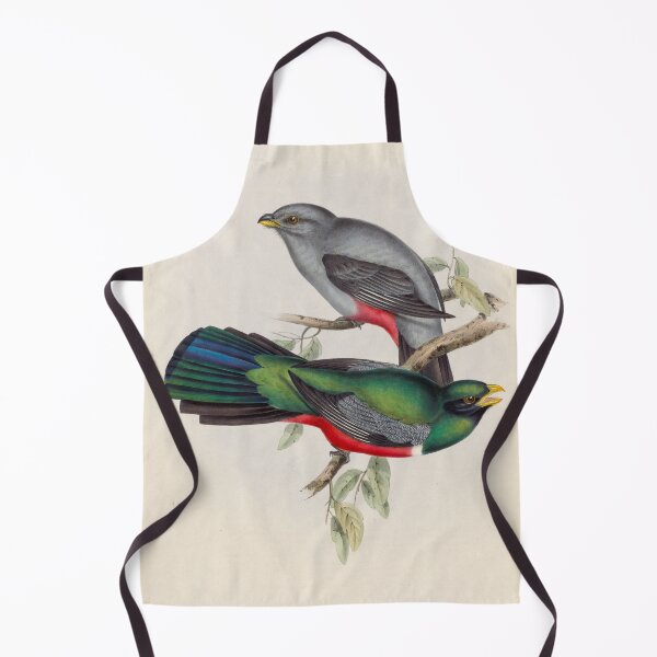 Item preview, A monograph of the Trogonidae or family of trogons John Gould 1838 V1 to V3 0090 Trogon Nigricauddata Black Tailed Trogon designed and sold by WetdryvacRB01.