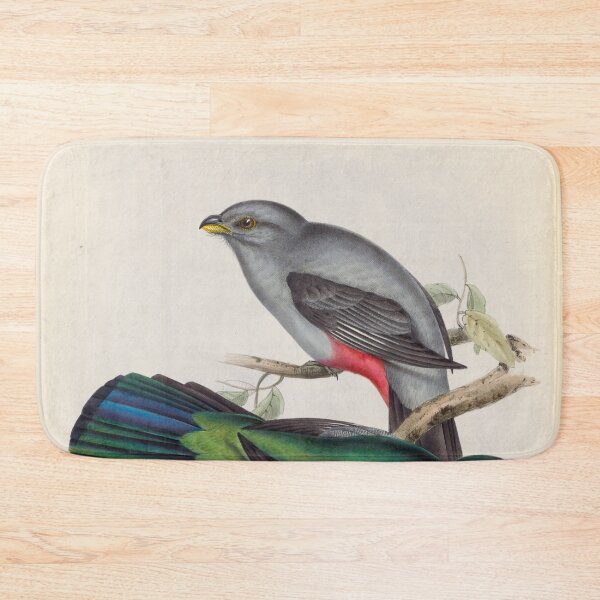 Item preview, A monograph of the Trogonidae or family of trogons John Gould 1838 V1 to V3 0090 Trogon Nigricauddata Black Tailed Trogon designed and sold by WetdryvacRB01.