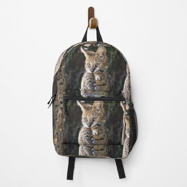 Item preview, The mother feline who hides her baby. designed and sold by Karine Dupras.