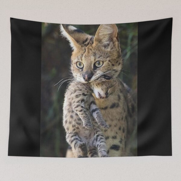 Item preview, The mother feline who hides her baby. designed and sold by Karine Dupras.