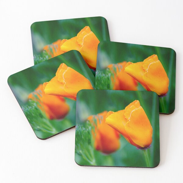 Item preview, Loving The Color Orange designed and sold by Cynthia48.