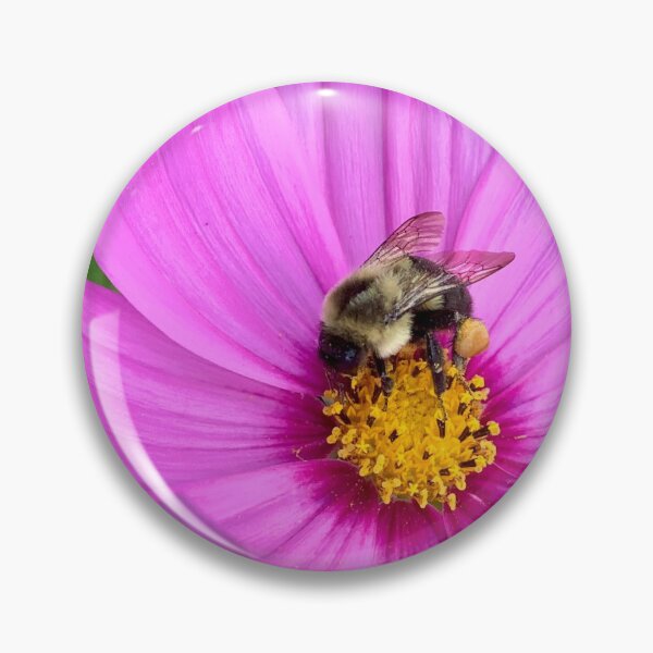 Item preview, Honey bee in action designed and sold by Bernard Reischl.