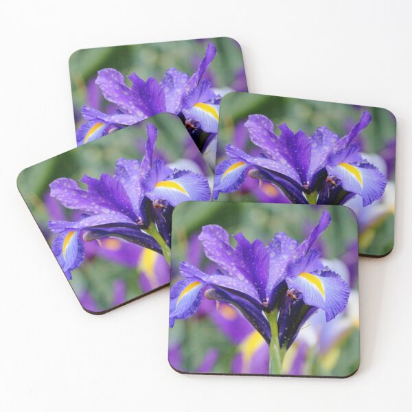 Item preview, Colorful Iris designed and sold by Cynthia48.