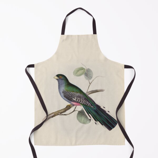 Item preview, A monograph of the Trogonidae or family of trogons John Gould 1838 V1 to V3 0092 Trogon Roseigaster Saint Domingo Trogon designed and sold by WetdryvacRB01.