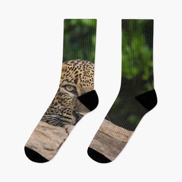 Item preview, Leopard - Wild Life designed and sold by chamsham2020.