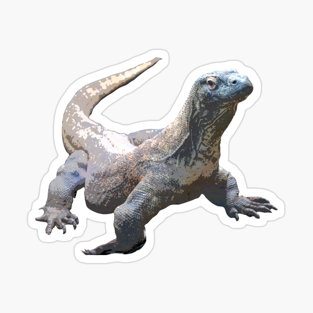 Komodo Dragon Color Print Komodo Dragon Color Print