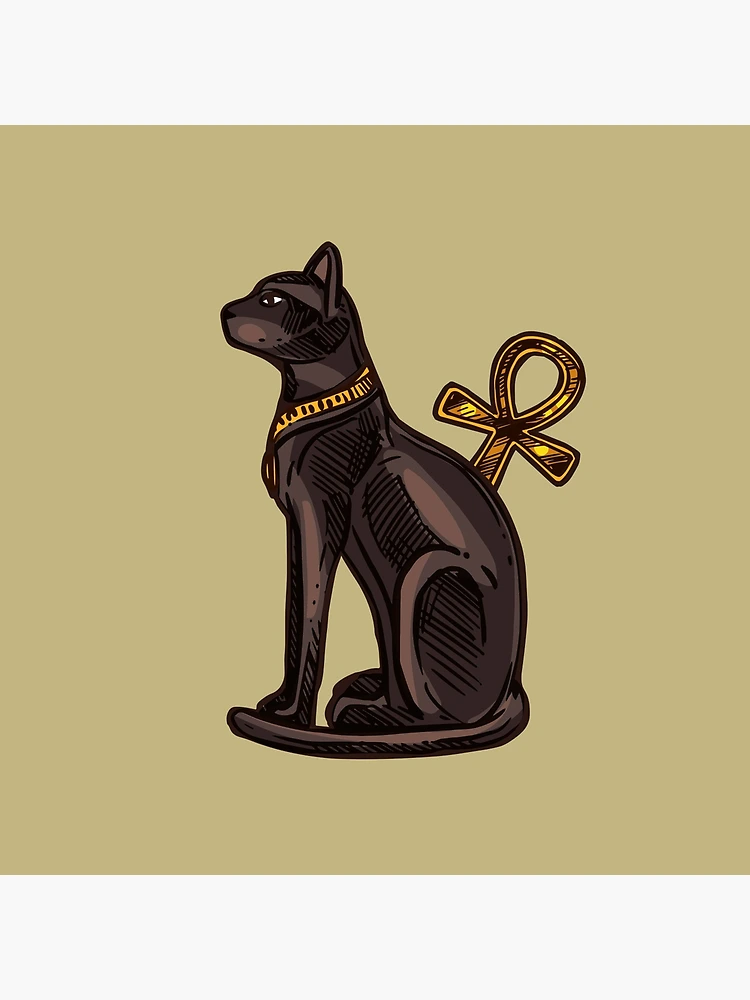 邦楽 BLACK CATS 40th HARAJUKU BIBLE BLACK CATS | HARAJUKU BIBLE ～BLACK CATS Early Times