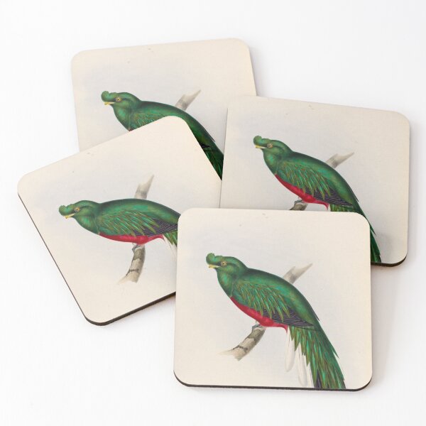 Item preview, A monograph of the Trogonidae or family of trogons John Gould 1838 V1 to V3 0094 Trogon Pulchelus Peruvian Trogon designed and sold by WetdryvacRB01.