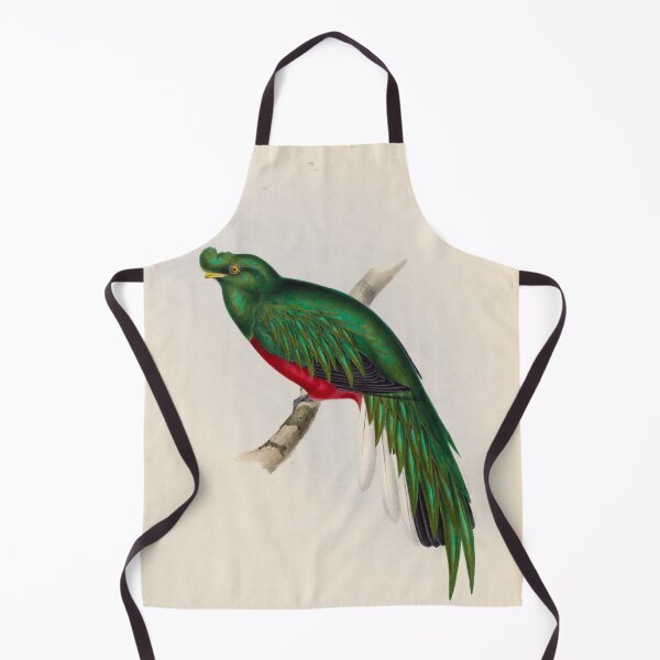 Item preview, A monograph of the Trogonidae or family of trogons John Gould 1838 V1 to V3 0094 Trogon Pulchelus Peruvian Trogon designed and sold by WetdryvacRB01.