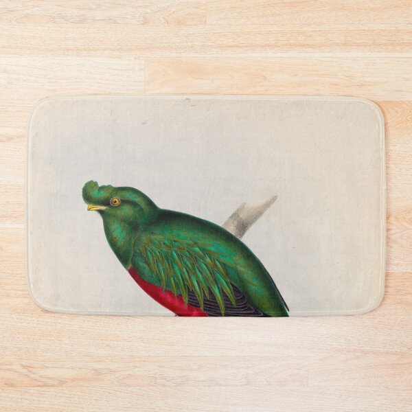 Item preview, A monograph of the Trogonidae or family of trogons John Gould 1838 V1 to V3 0094 Trogon Pulchelus Peruvian Trogon designed and sold by WetdryvacRB01.