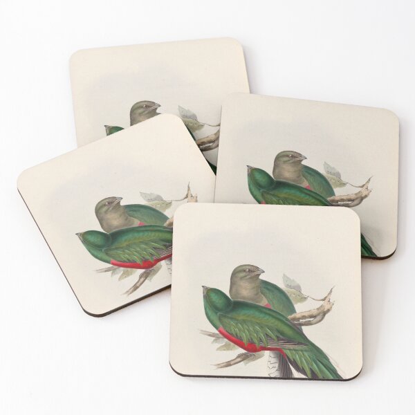 Item preview, A monograph of the Trogonidae or family of trogons John Gould 1838 V1 to V3 0096 Trogon Fulgidus Shining Trogon designed and sold by WetdryvacRB01.