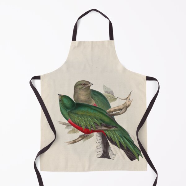 Item preview, A monograph of the Trogonidae or family of trogons John Gould 1838 V1 to V3 0096 Trogon Fulgidus Shining Trogon designed and sold by WetdryvacRB01.