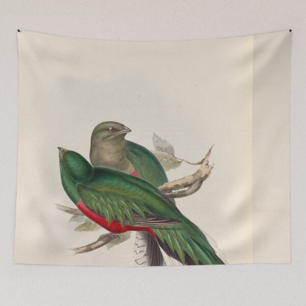 Item preview, A monograph of the Trogonidae or family of trogons John Gould 1838 V1 to V3 0096 Trogon Fulgidus Shining Trogon designed and sold by WetdryvacRB01.