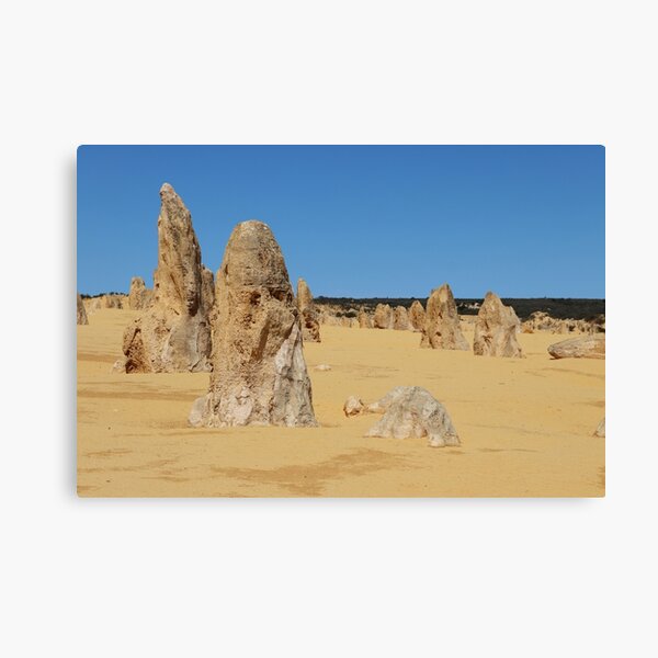 The Pinnacles, Western Australia Canvas Print