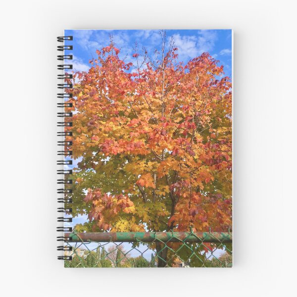 Item preview, November Fall Foliage designed and sold by Bernard Reischl.