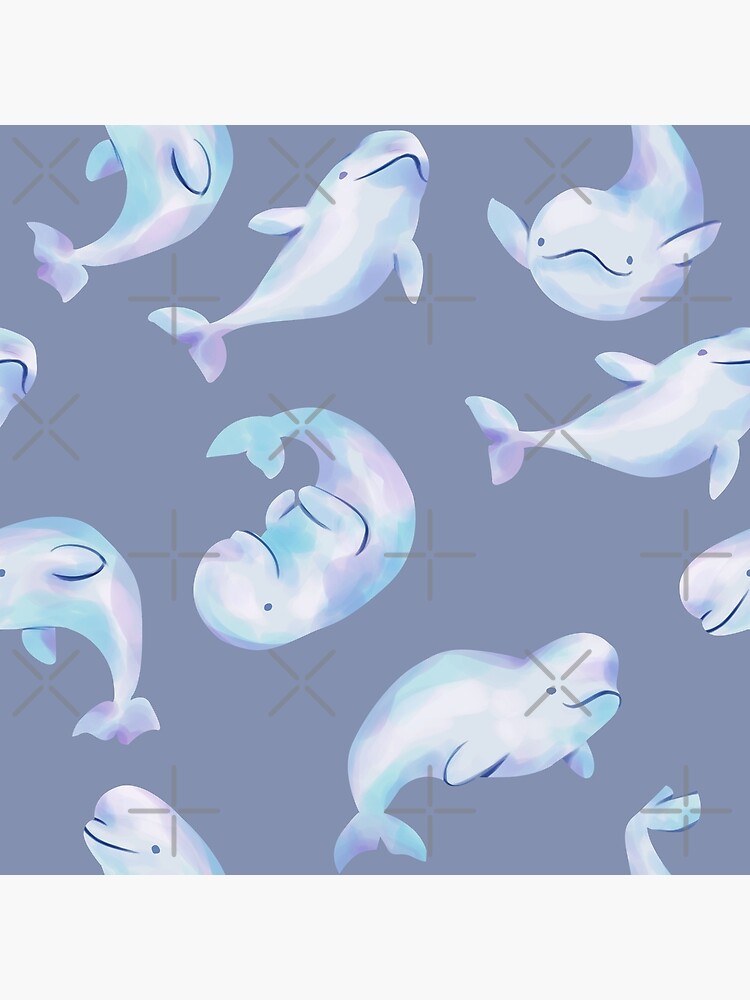 Beluga Purr-fect 