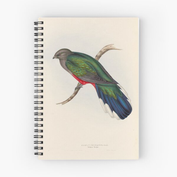 Item preview, A monograph of the Trogonidae or family of trogons John Gould 1838 V1 to V3 0098 Trogon Neoxenus Welcome Trogon designed and sold by WetdryvacRB01.