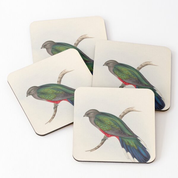 Item preview, A monograph of the Trogonidae or family of trogons John Gould 1838 V1 to V3 0098 Trogon Neoxenus Welcome Trogon designed and sold by WetdryvacRB01.