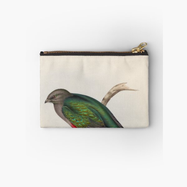 Item preview, A monograph of the Trogonidae or family of trogons John Gould 1838 V1 to V3 0098 Trogon Neoxenus Welcome Trogon designed and sold by WetdryvacRB01.