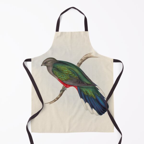 Item preview, A monograph of the Trogonidae or family of trogons John Gould 1838 V1 to V3 0098 Trogon Neoxenus Welcome Trogon designed and sold by WetdryvacRB01.