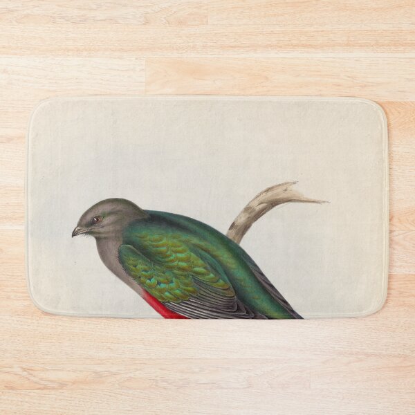 Item preview, A monograph of the Trogonidae or family of trogons John Gould 1838 V1 to V3 0098 Trogon Neoxenus Welcome Trogon designed and sold by WetdryvacRB01.