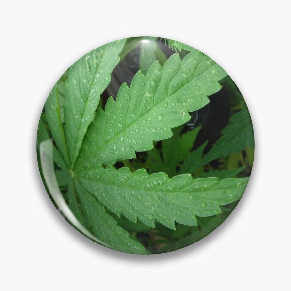 Item preview, MaryJane designed and sold by TLBcanvasART.