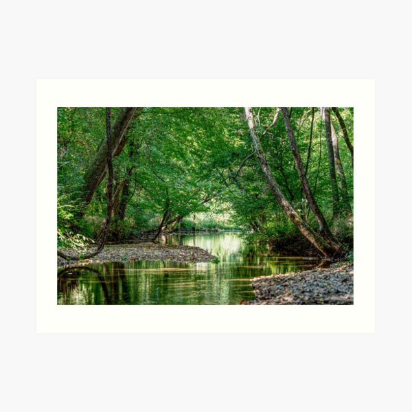 Springfield MO Green Nature Art Print