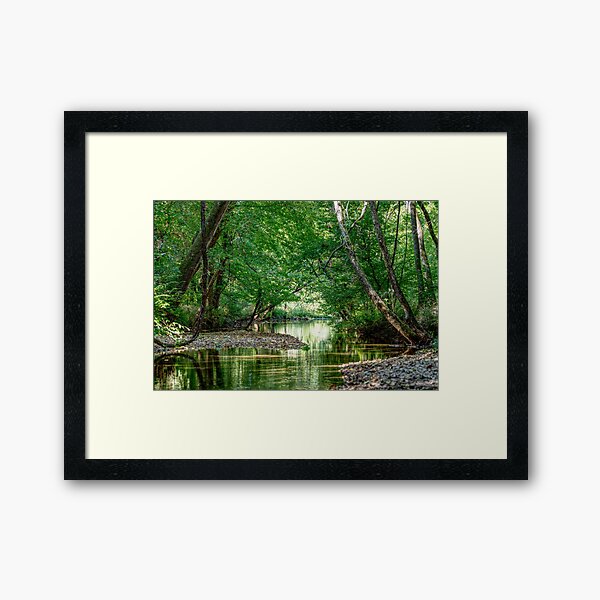 Springfield MO Green Nature Framed Art Print