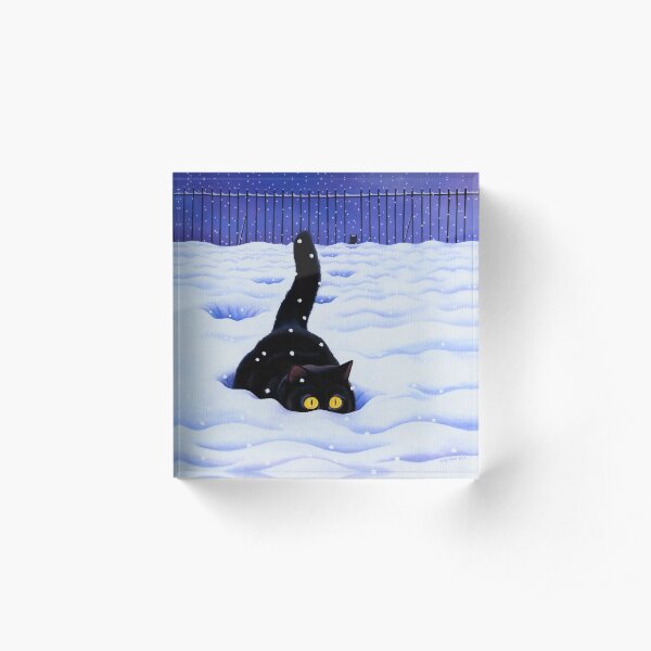 Big Foot Acrylic Block