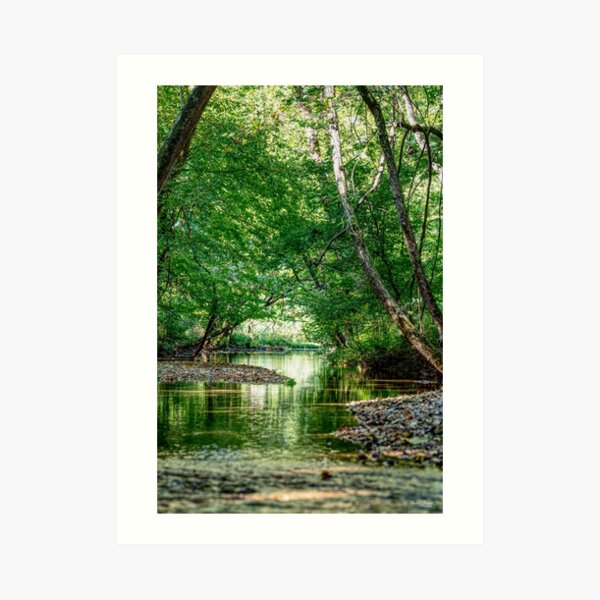 Greenery Water Escape Art Print