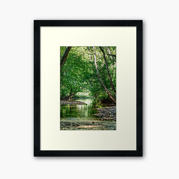 Greenery Water Escape Framed Art Print