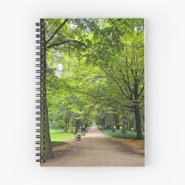Item preview, Camino en un parque designed and sold by Magic-Designs.