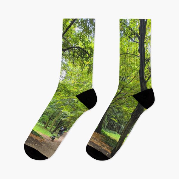 Item preview, Path in a Park designed and sold by Magic-Designs.