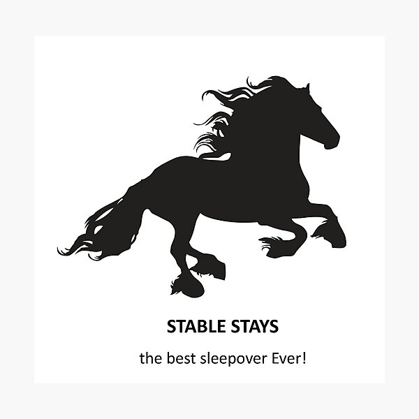 Item preview, STABLE STAYS - the best sleepover Ever! designed and sold by Blackhorsesltd.