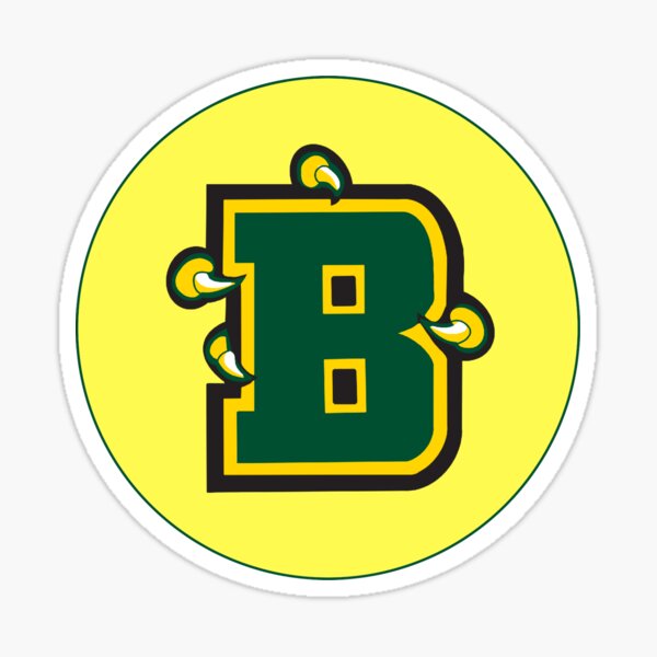 SUNY Brockport Golden Eagles 10 x Retro Team Sign