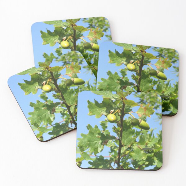 Item preview, Acorns designed and sold by lezvee.