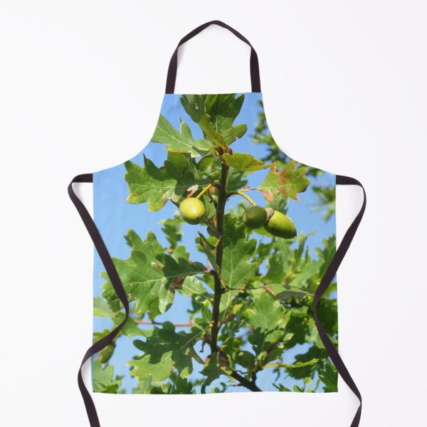 Item preview, Acorns designed and sold by lezvee.