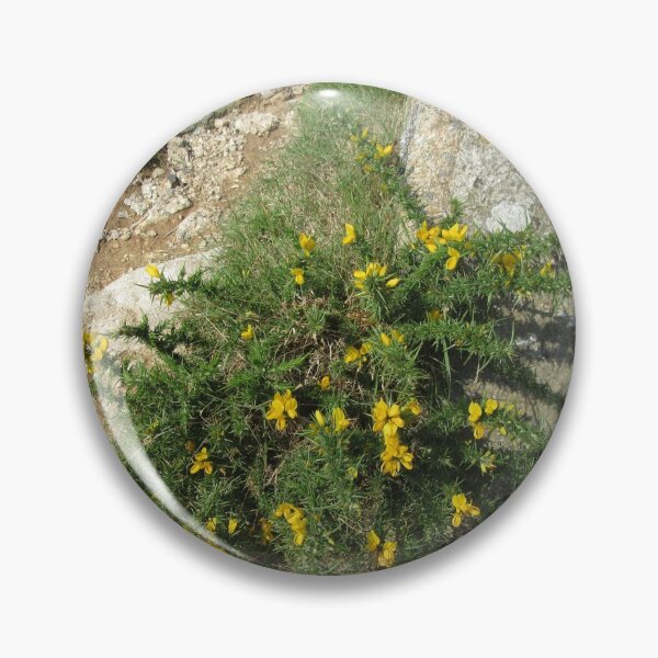 Item preview, Dartmoor Gorse And Granite designed and sold by lezvee.
