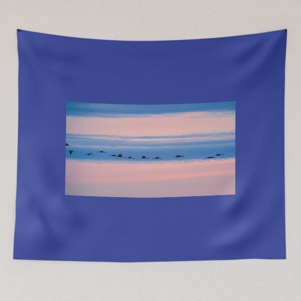Item preview, Lined on blue. Evening of the cranes designed and sold by Jouko Lehto Photography.