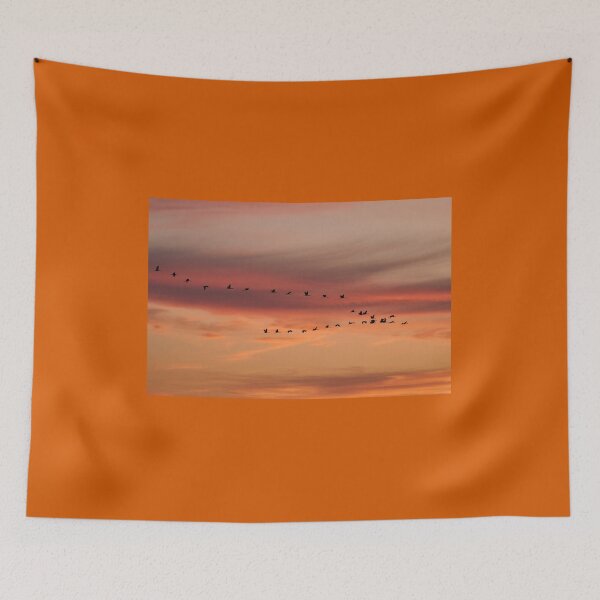 Item preview, Among the shades of orange. Evening of the cranes designed and sold by Jouko Lehto Photography.