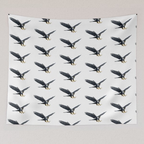 Item preview, Graduation Falcon designed and sold by cmd-art.