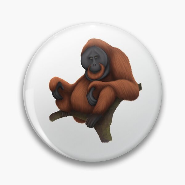 Item preview, Tired Orangutan Sitting In Tree designed and sold by troyanthonyart.