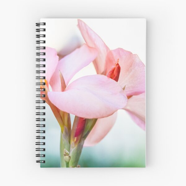 Item preview, Canna Lilly designed and sold by May Finch.