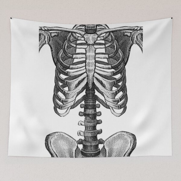 Item preview, A skeleton frame designed and sold by cmphotographs.