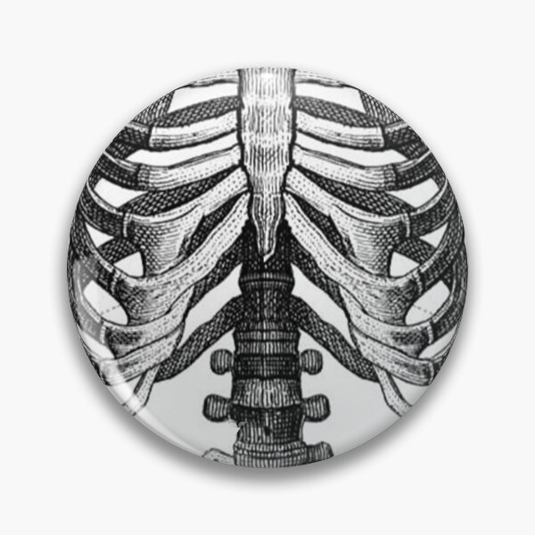 Artikelvorschau, Ein Skelettrahmen entworfen und verkauft von cmphotographs.