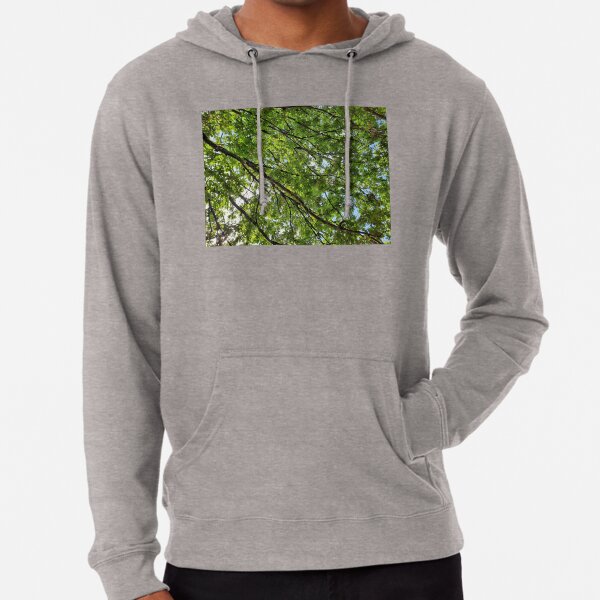 Trees Lightweight Hoodie