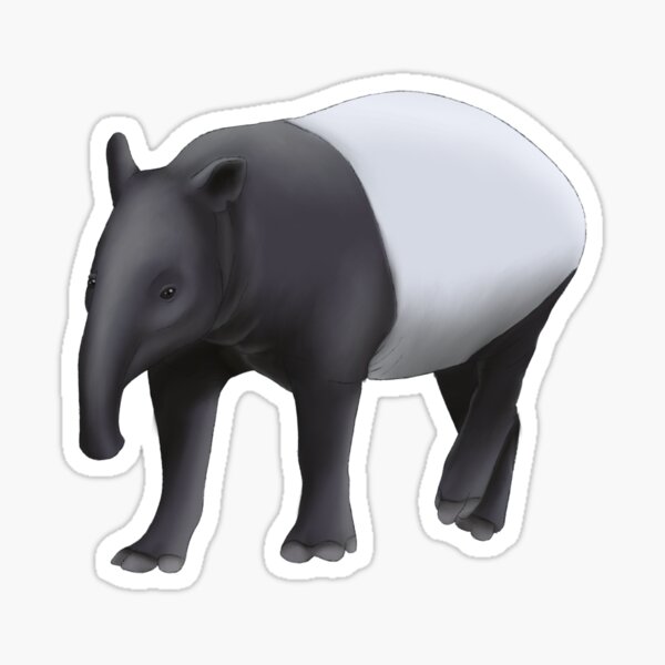 Vista previa del artículo con la obra «Pintura del tapir malayo», diseñado y vendido por troyanthonyart.