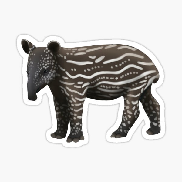 Collectible Wildlife Gifts Tapir Malayan, Fuzzy Stickers Set of 40 Stickers  - T068 B50